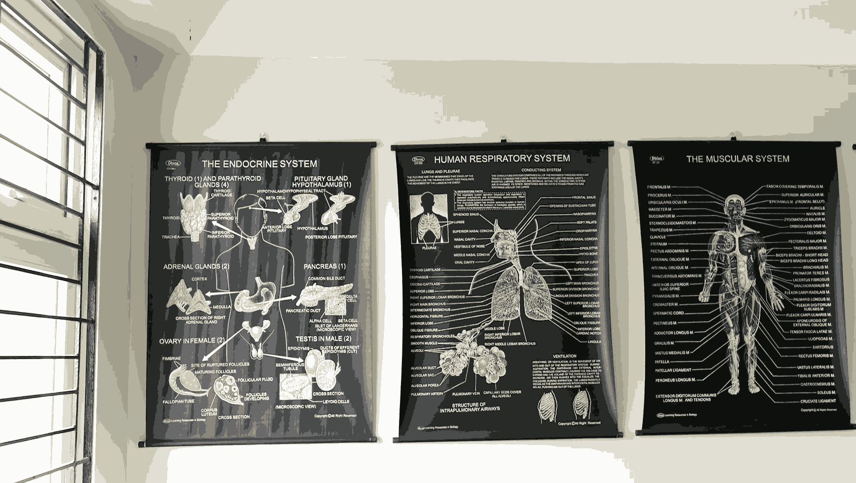 Pragjyotishpur University Guwahati Pharmacology lab photo 21